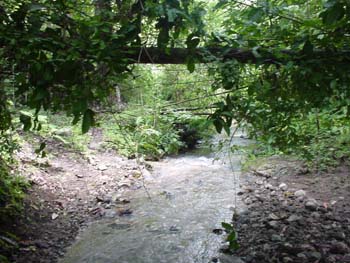 Vue de la finca de 68 has de Paquera, Costa Rica